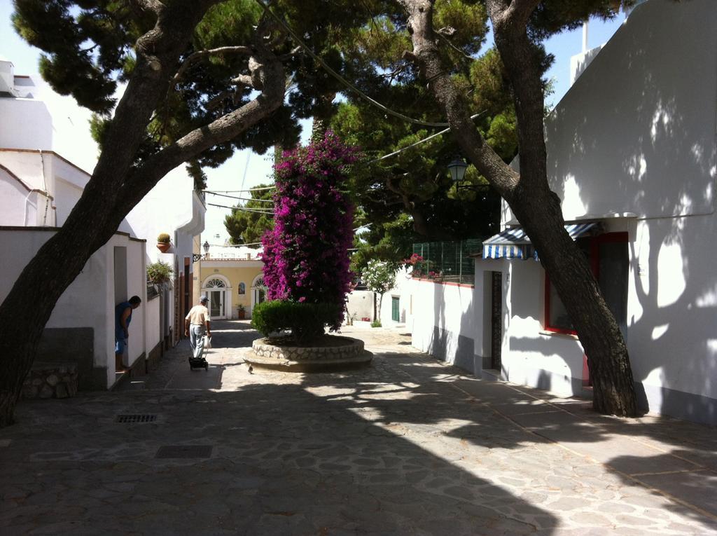 Casa Anna Capri Charme Apartment Екстериор снимка